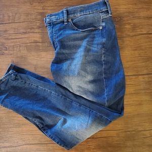 Lucky Ava Mid Rise Skinny Jeans sz 12/31